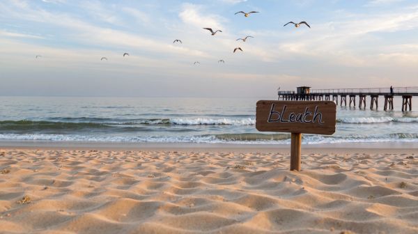 Découvrez le muma de lh beach : un trésor artistique à explorer